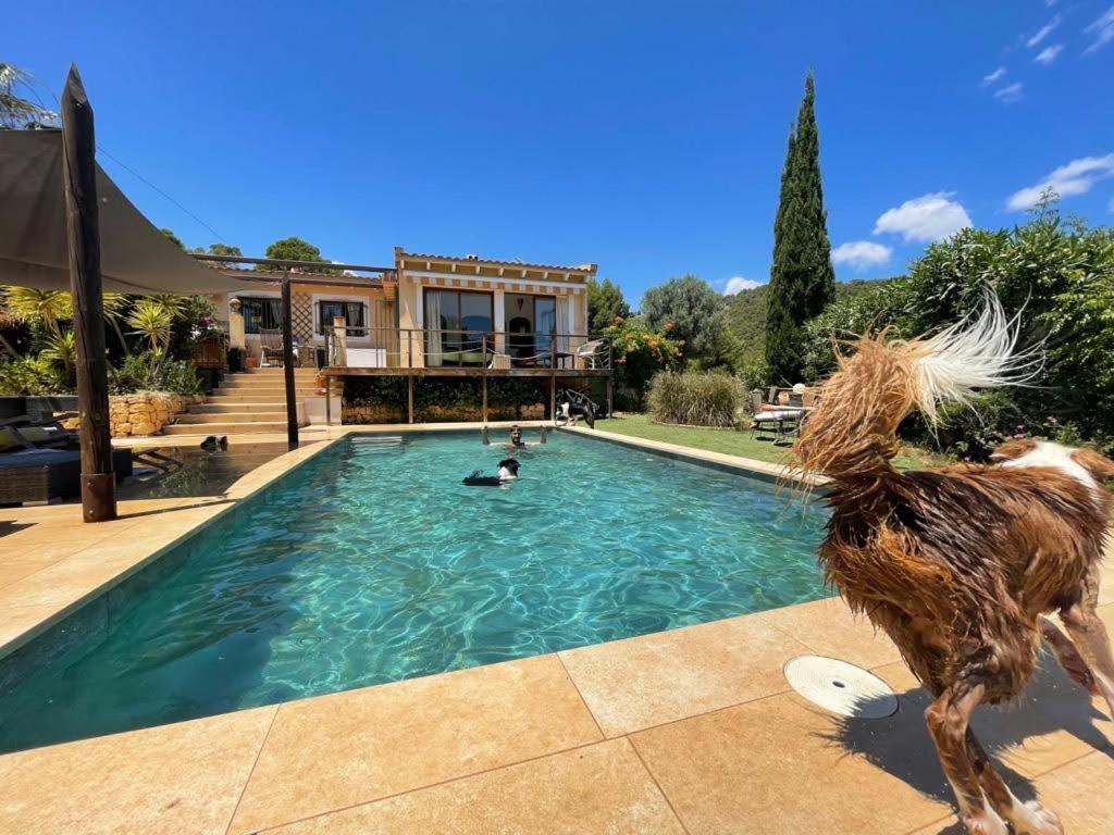 El Paraiso De Los Perros 波洛普 外观 照片
